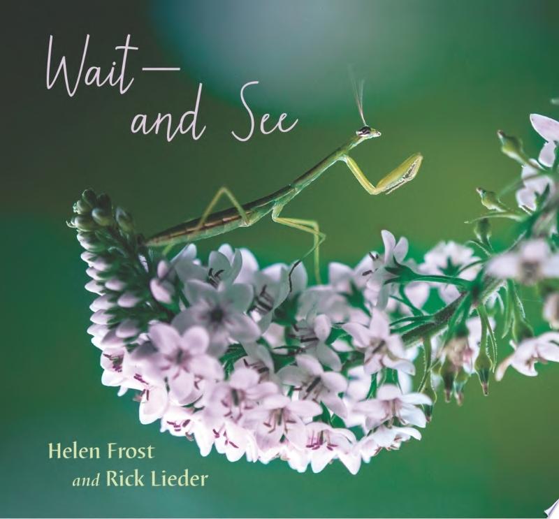 Catalog entry for "Wait and See" by Helen Frost