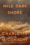 Book cover for "Wild Dark Shore" showing wild waves and foreboding dark sky and seagulls flying